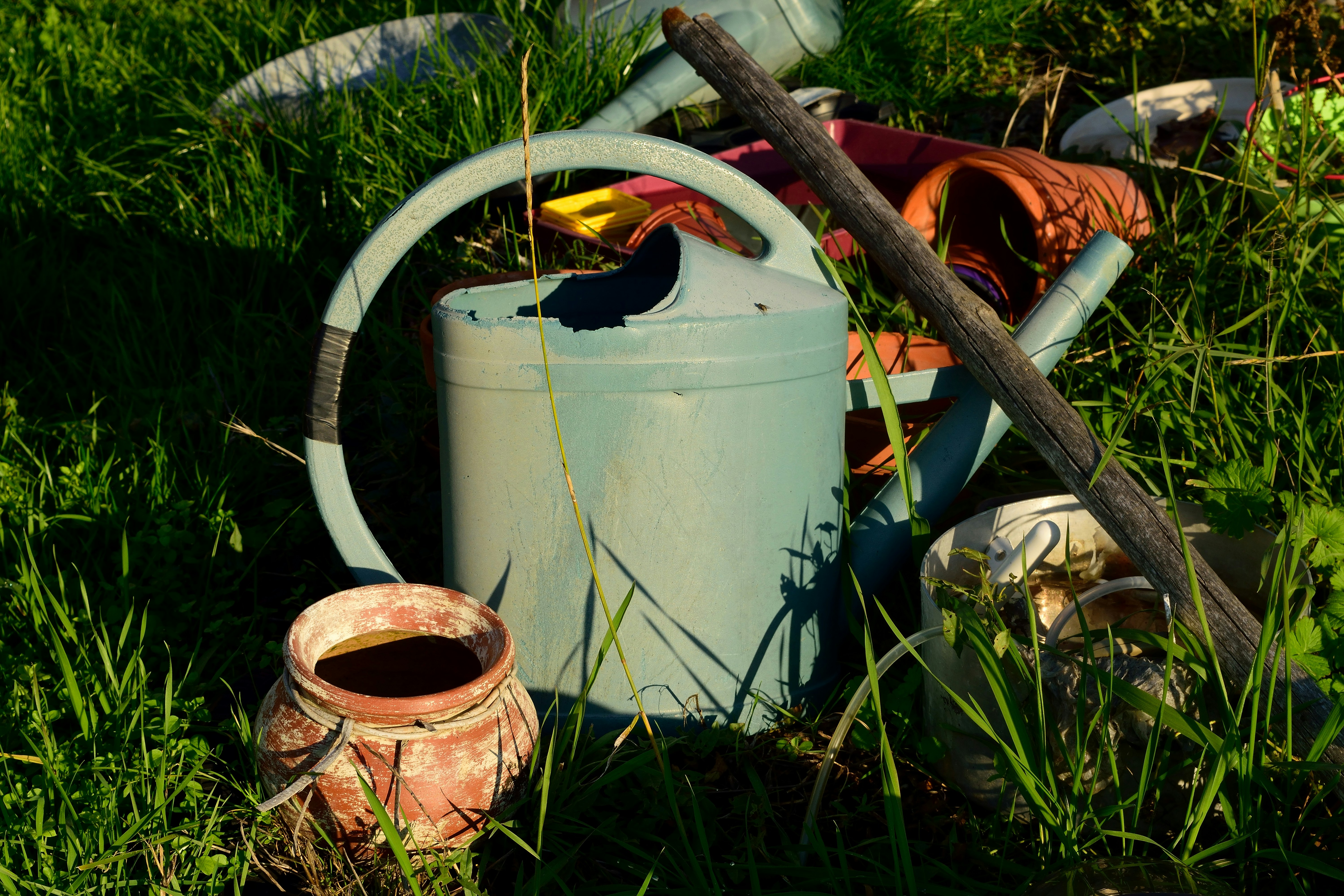 Les tondeuses : un indispensable pour votre jardin