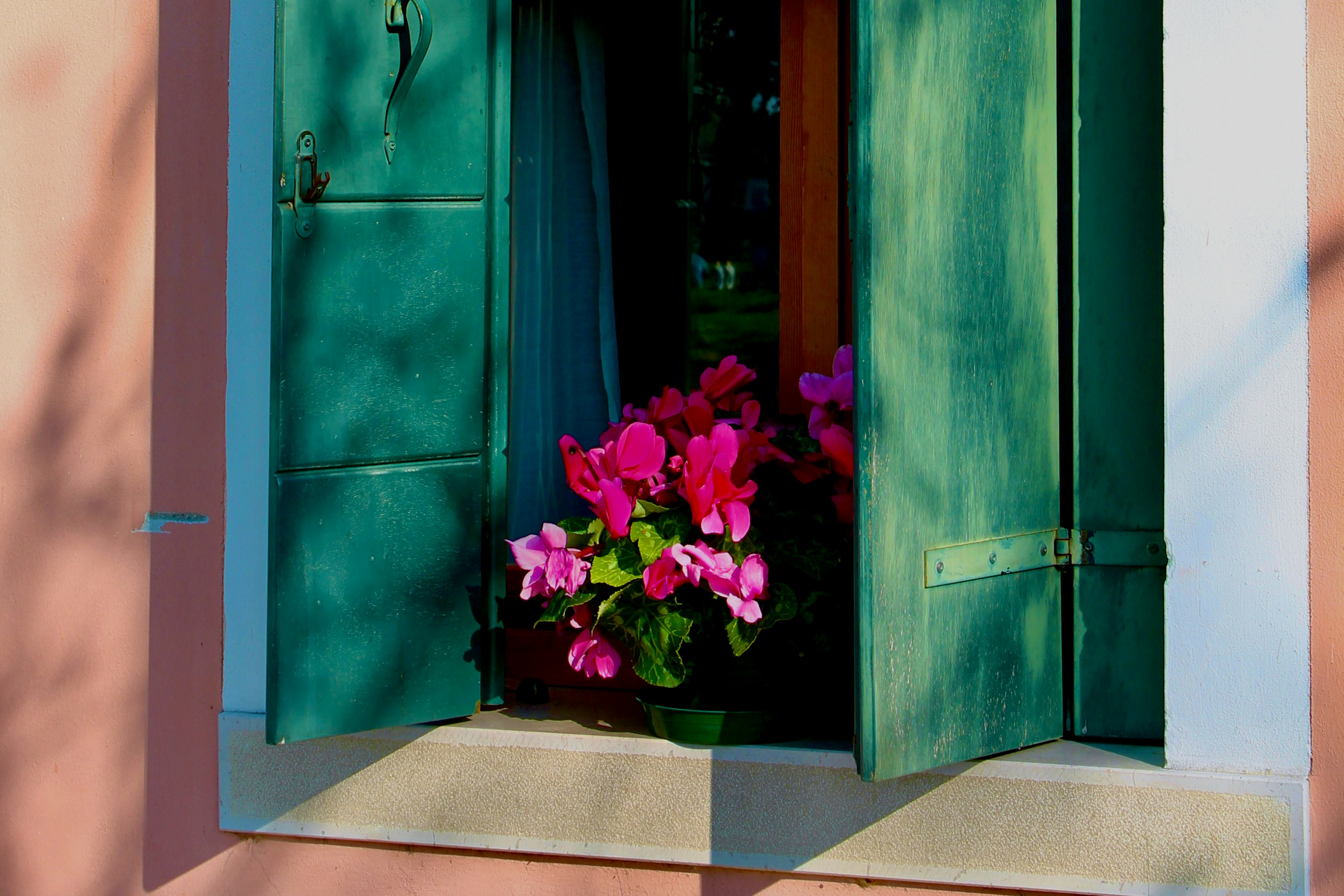 Photo by palmspringsdon
