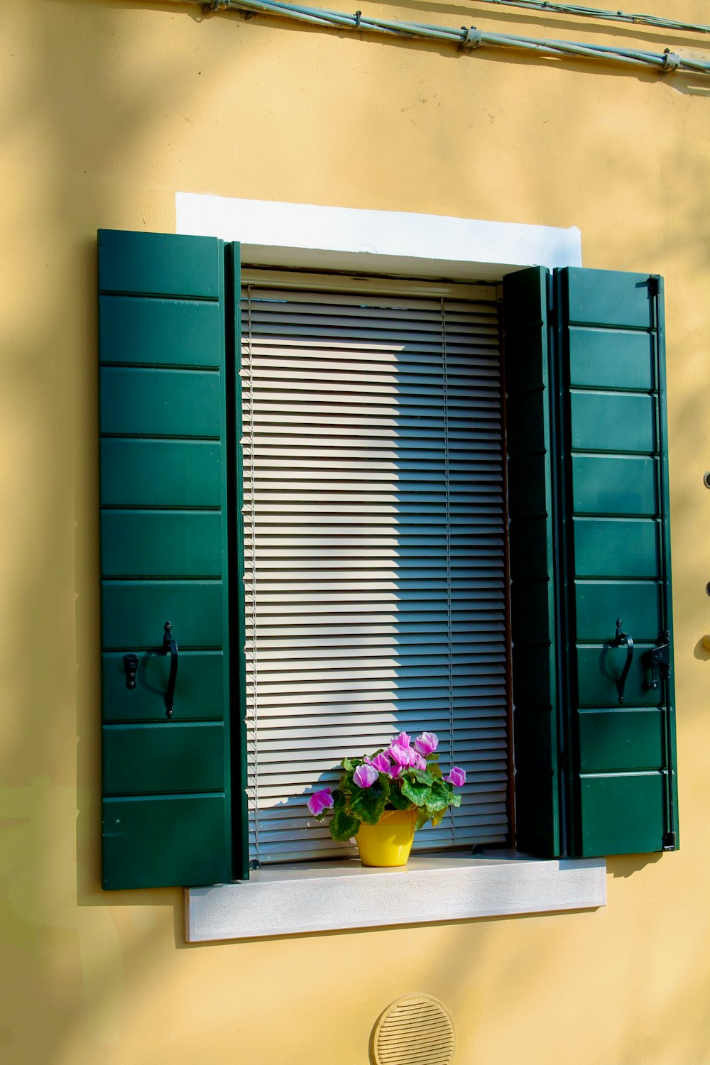 black wooden cabinet beside green wooden door