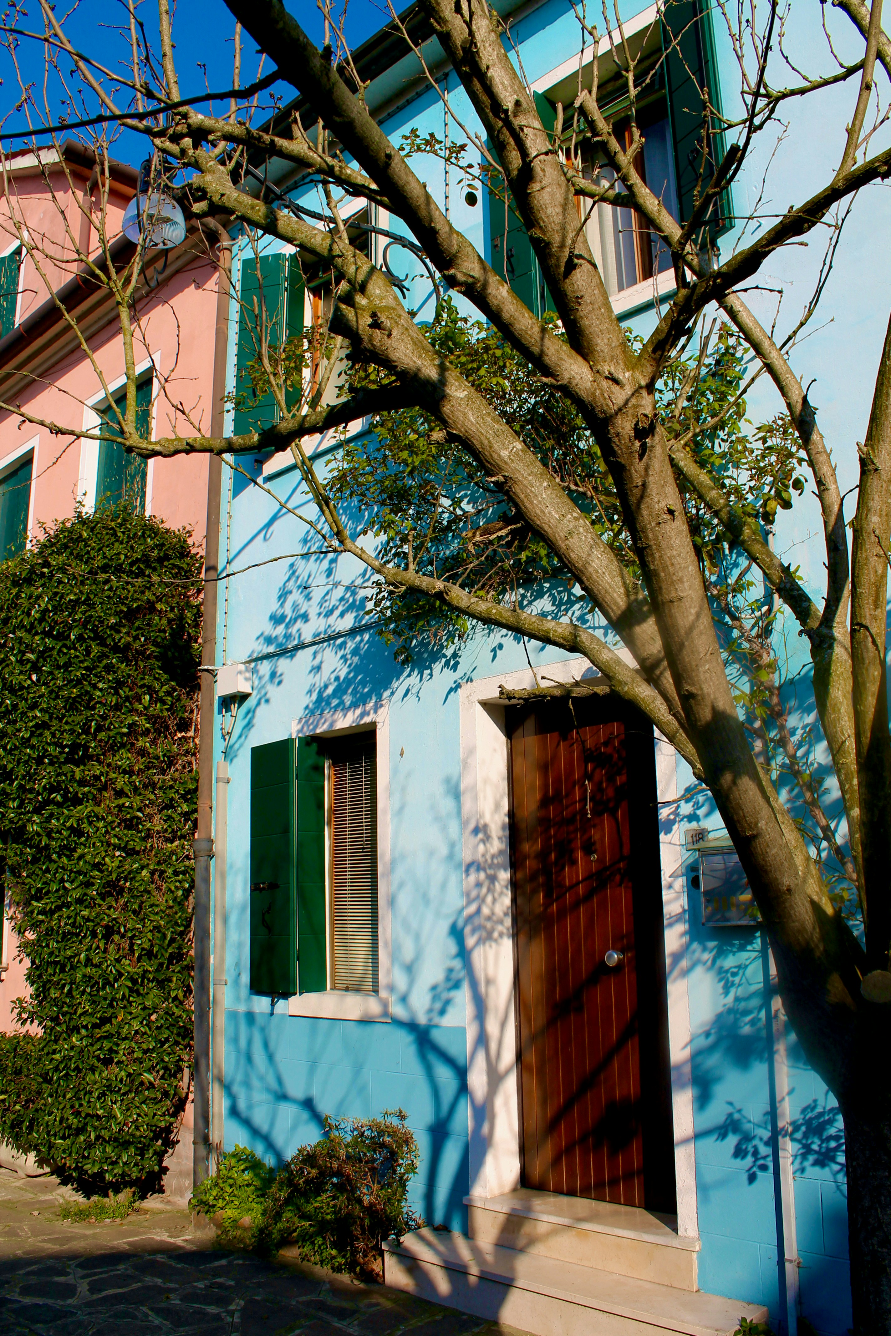 Photo by palmspringsdon