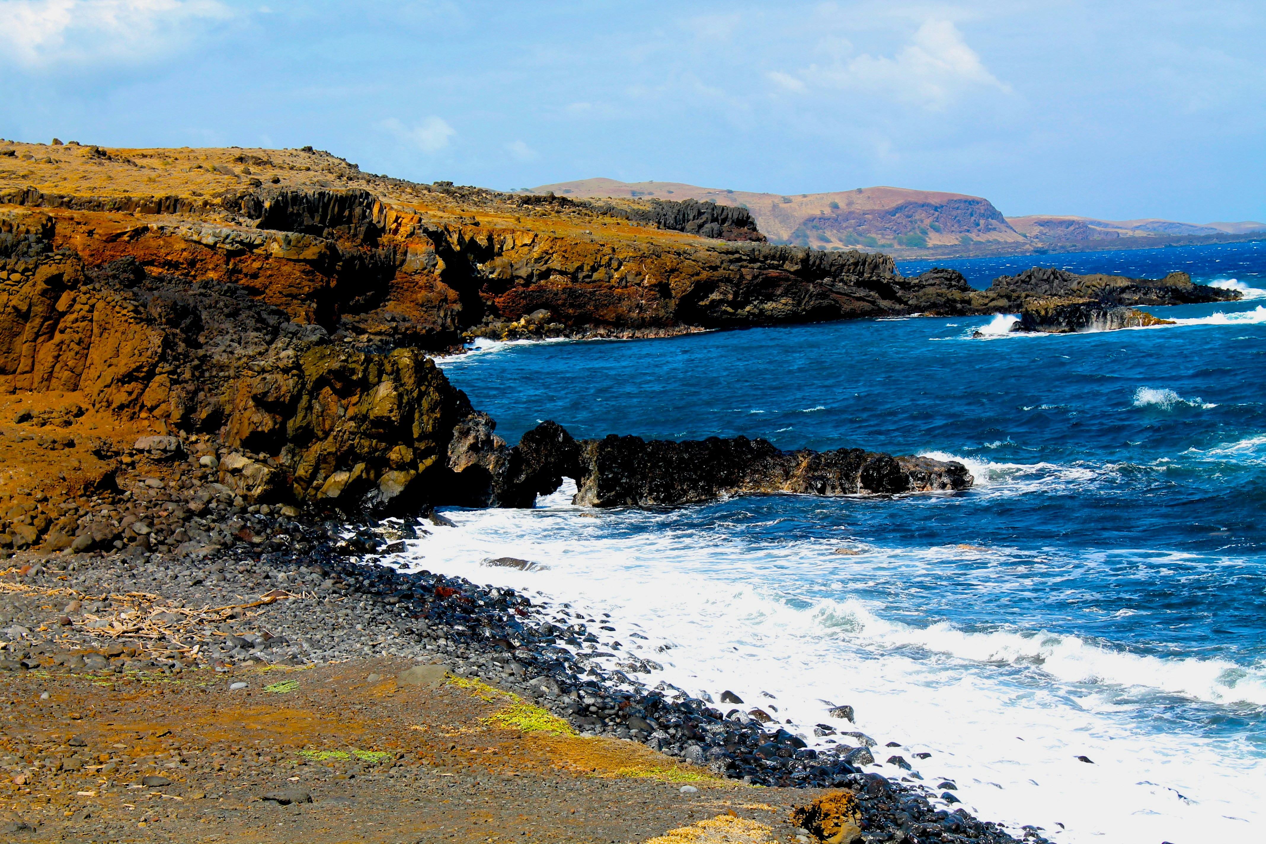 Photo by palmspringsdon