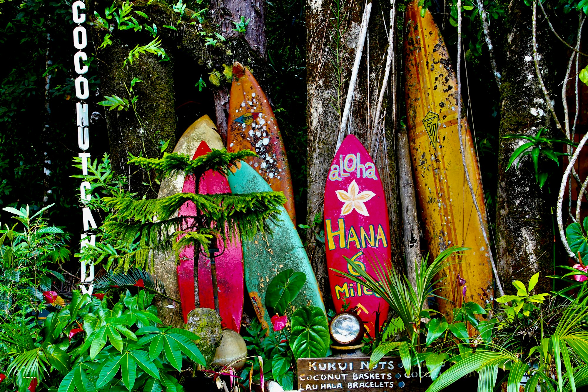 Surfboards on the Road to Hana