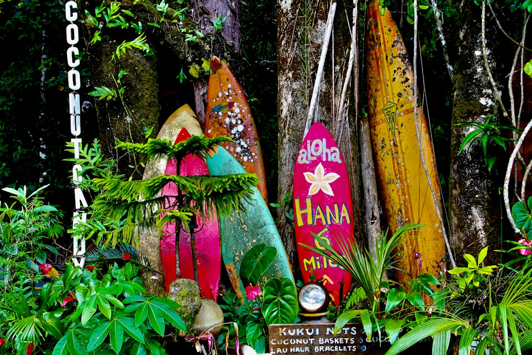 red yellow and green wooden cross, Surfboards on the Road to Hana