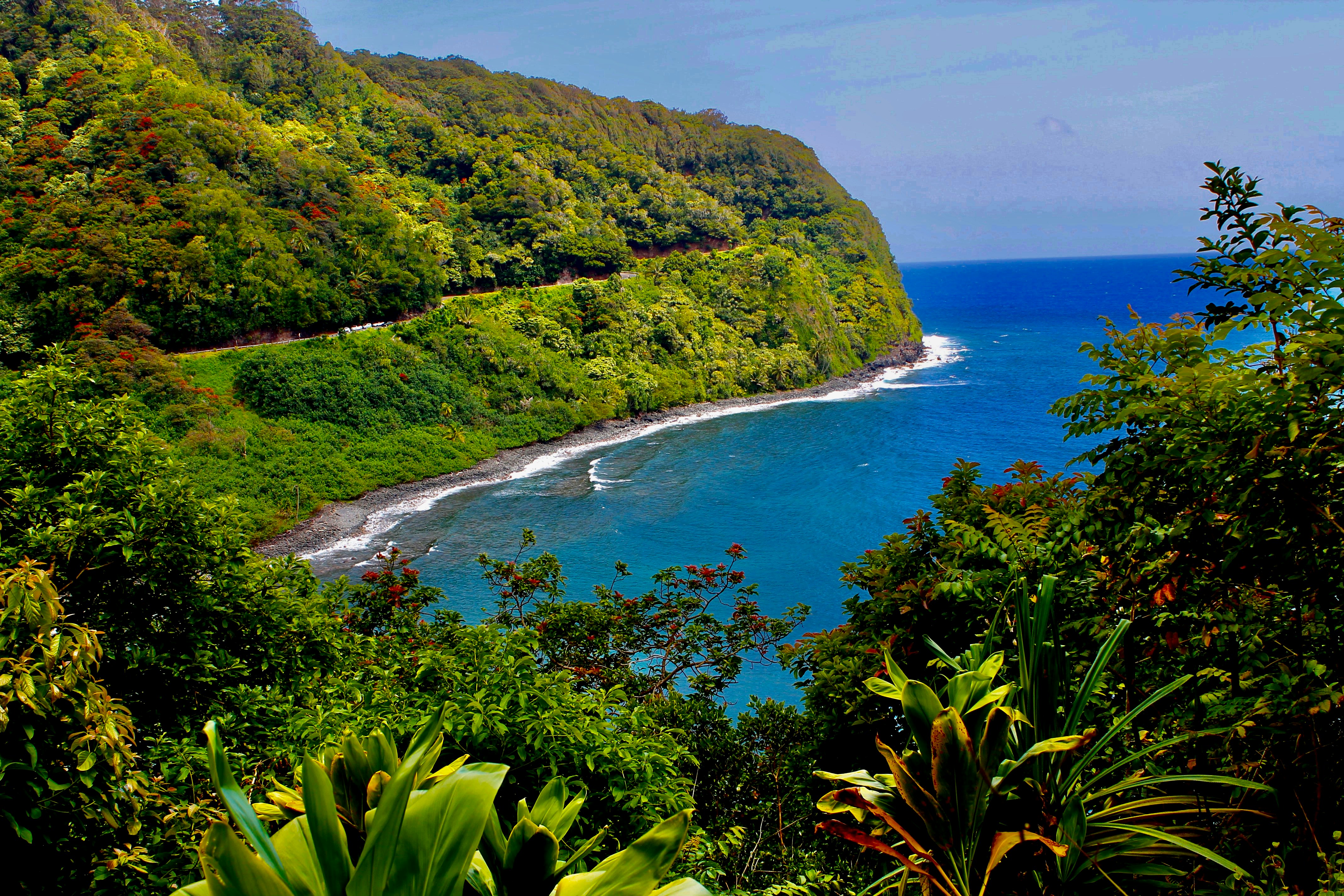 Photo by palmspringsdon