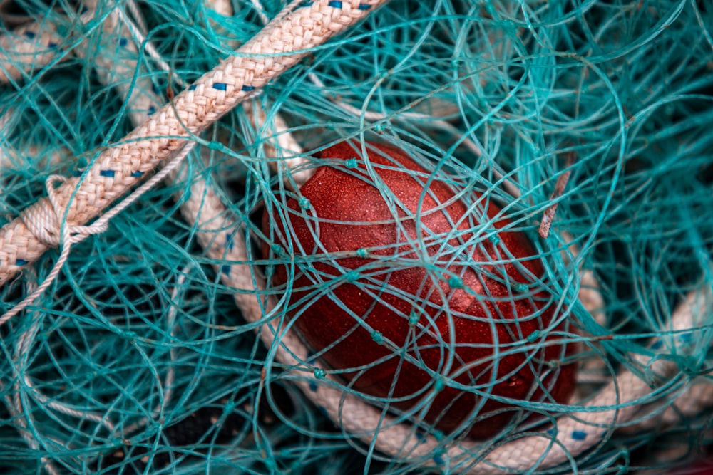 red and white net on green grass