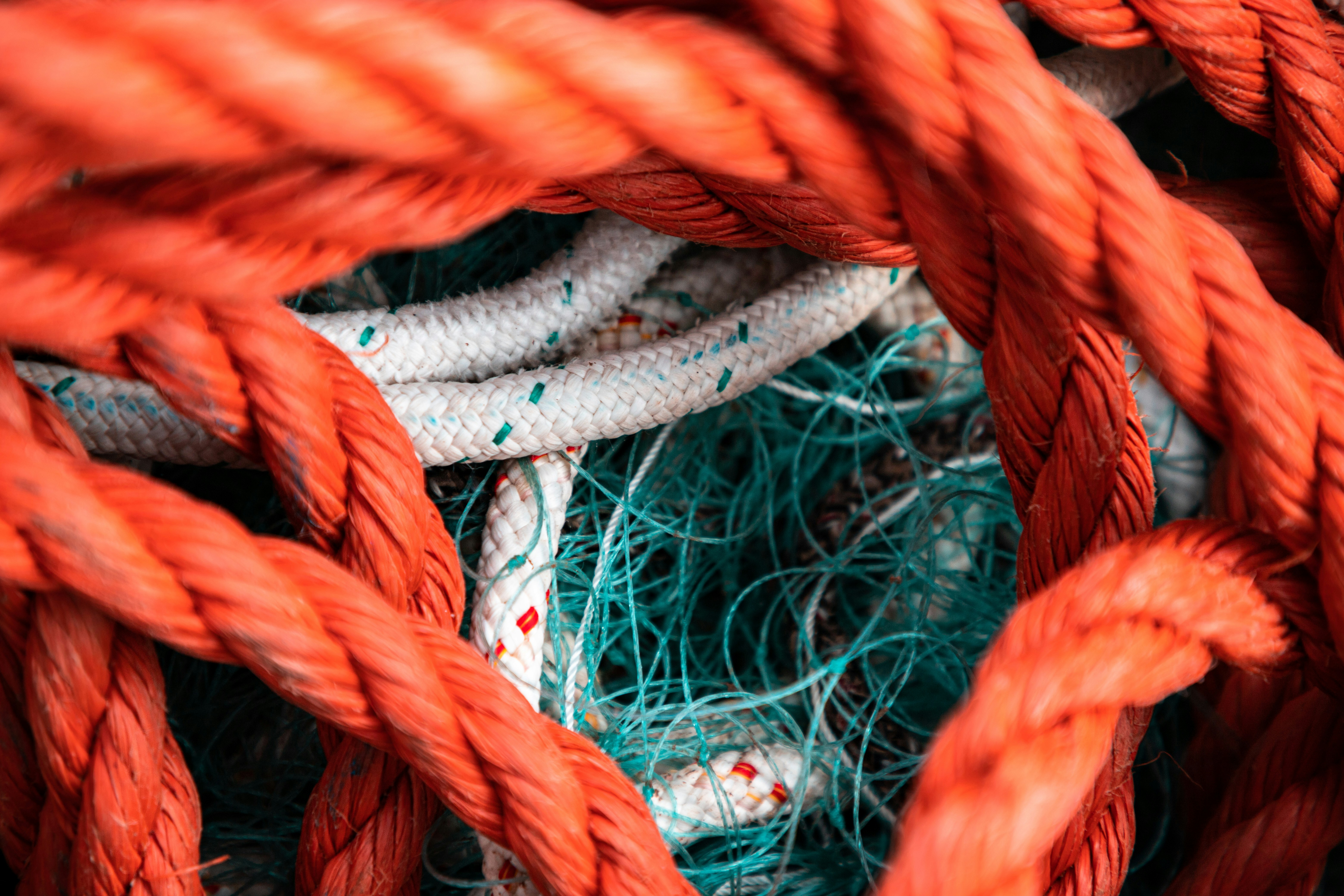 ∙ fishing line ∙