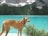 A brown dog stands on the shore of a pristine turquoise lake surrounded by lush green forests and rocky mountain peaks with patches of snow. The dog looks sideways, wearing a colorful collar, and appears to be enjoying the serene landscape.