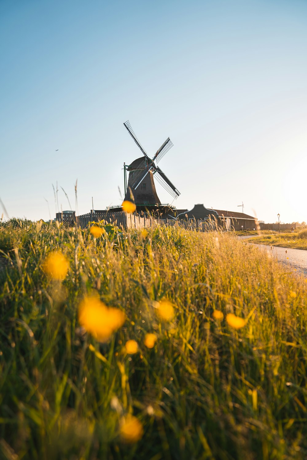 black and yellow windmill on green grass field during daytime