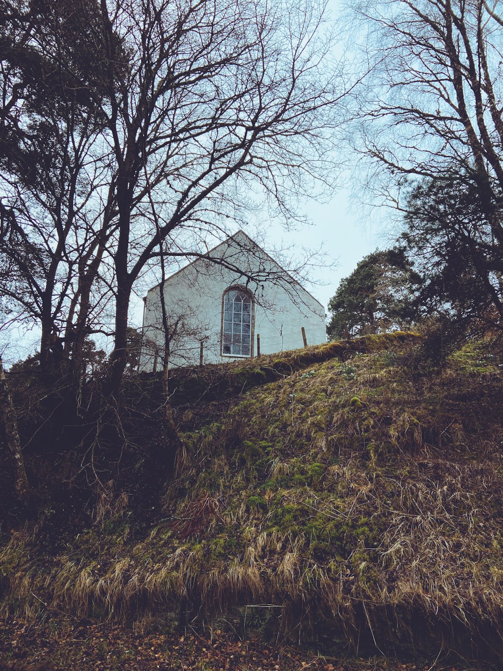 white and gray concrete house near bare trees during daytime