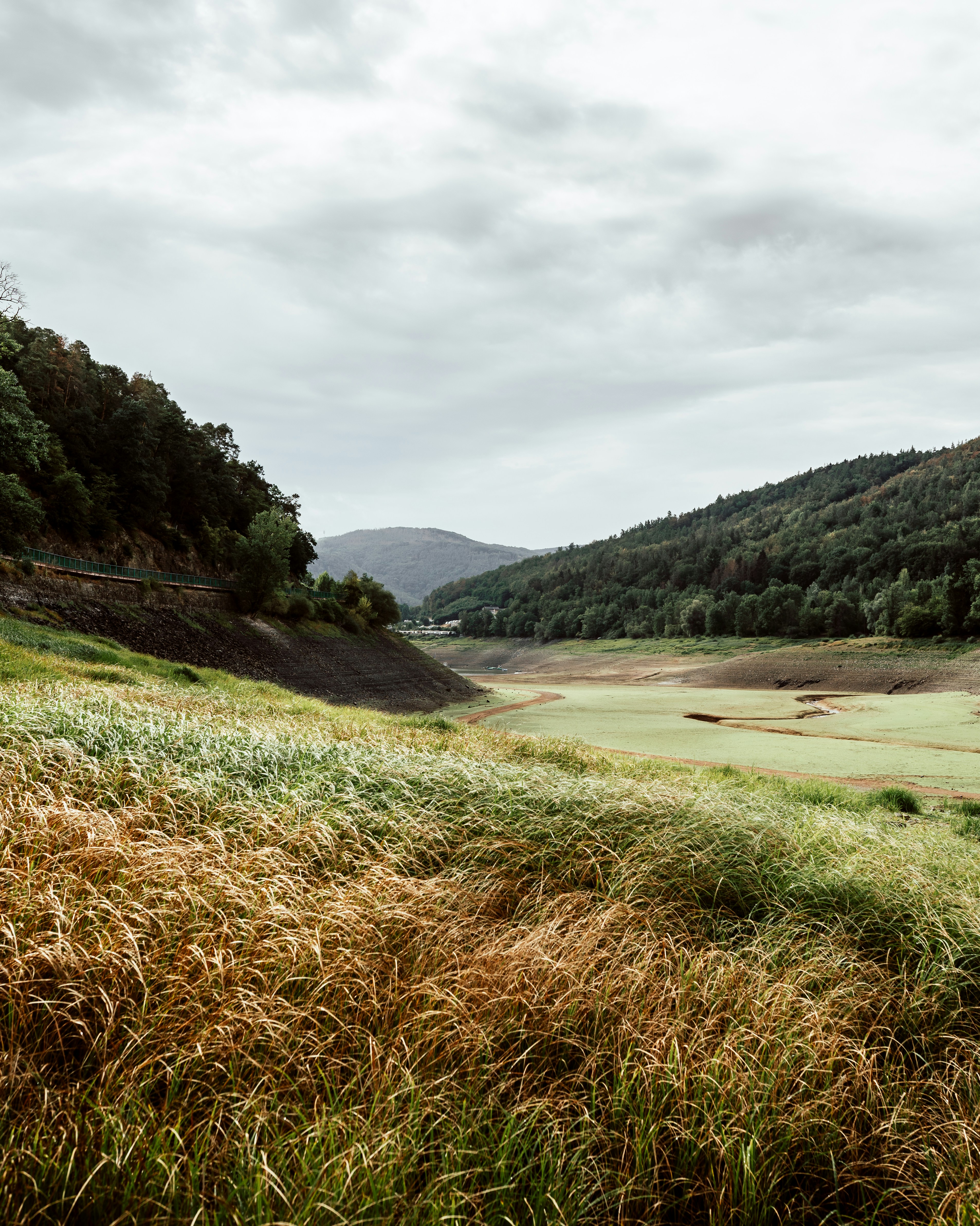 green grass field near lake under white sky during daytime