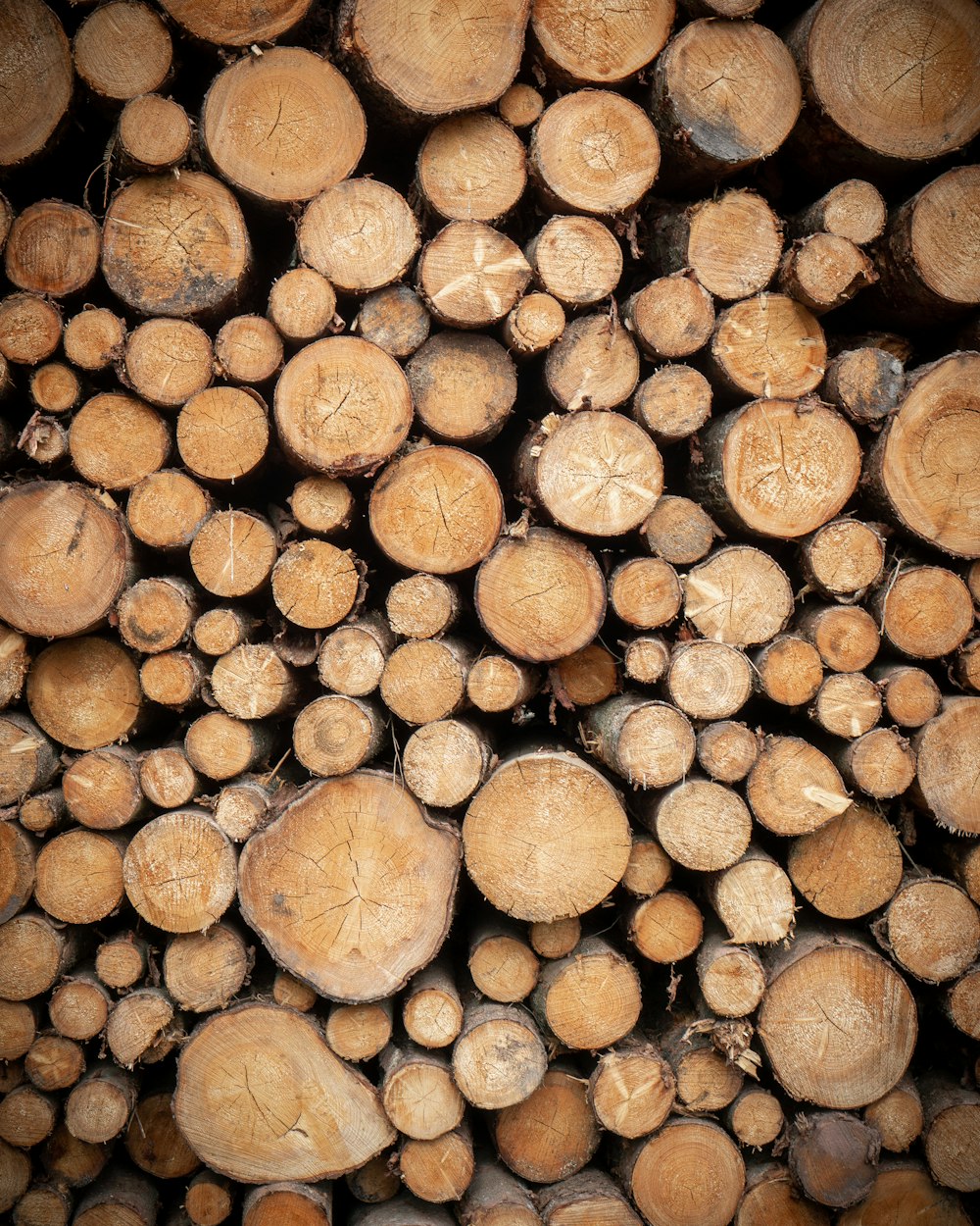 pile of brown wood logs