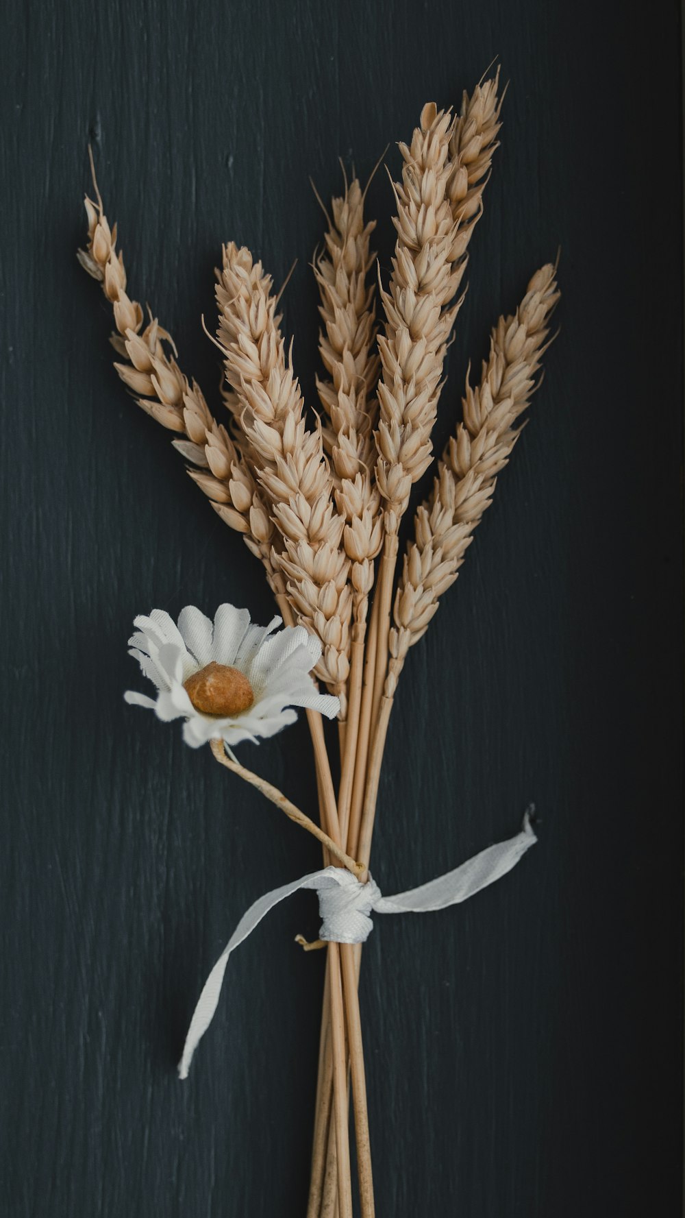flor blanca sobre trigo moreno