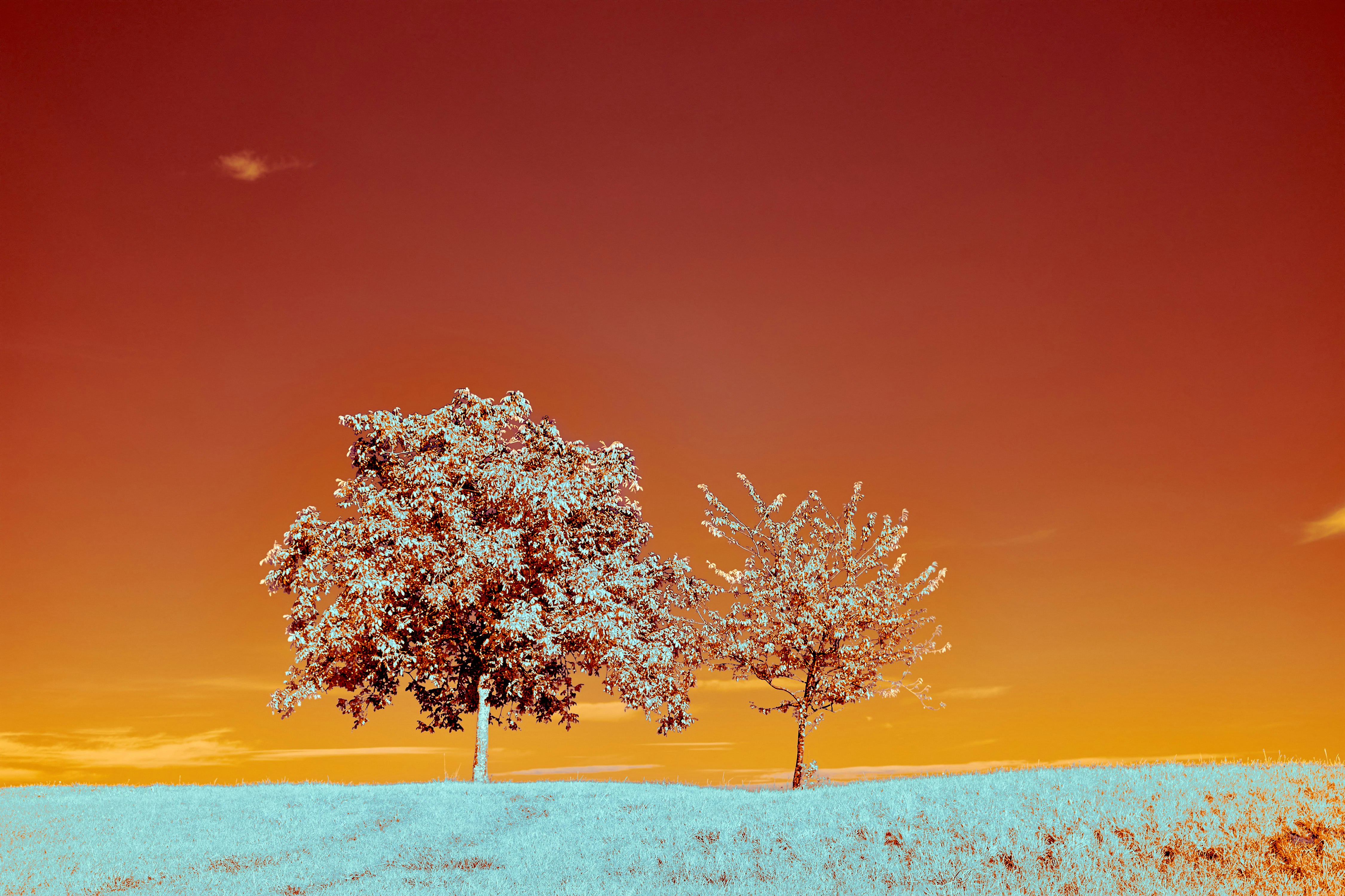 Photo by wolfgang_hasselmann