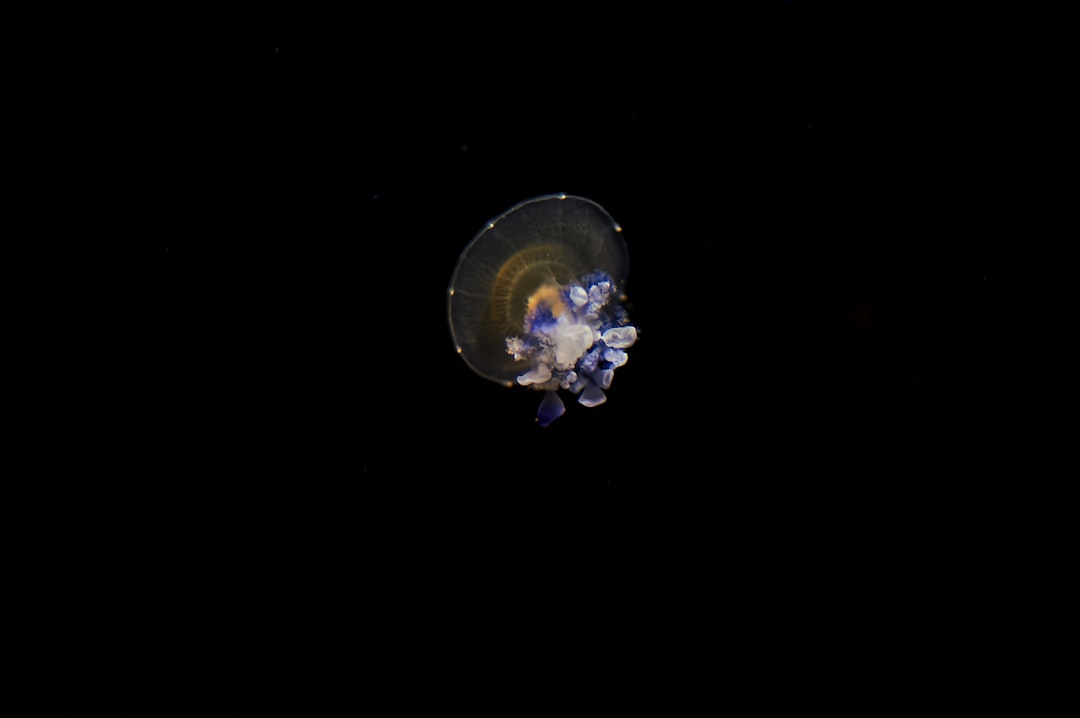 blue and white floral glass ornament