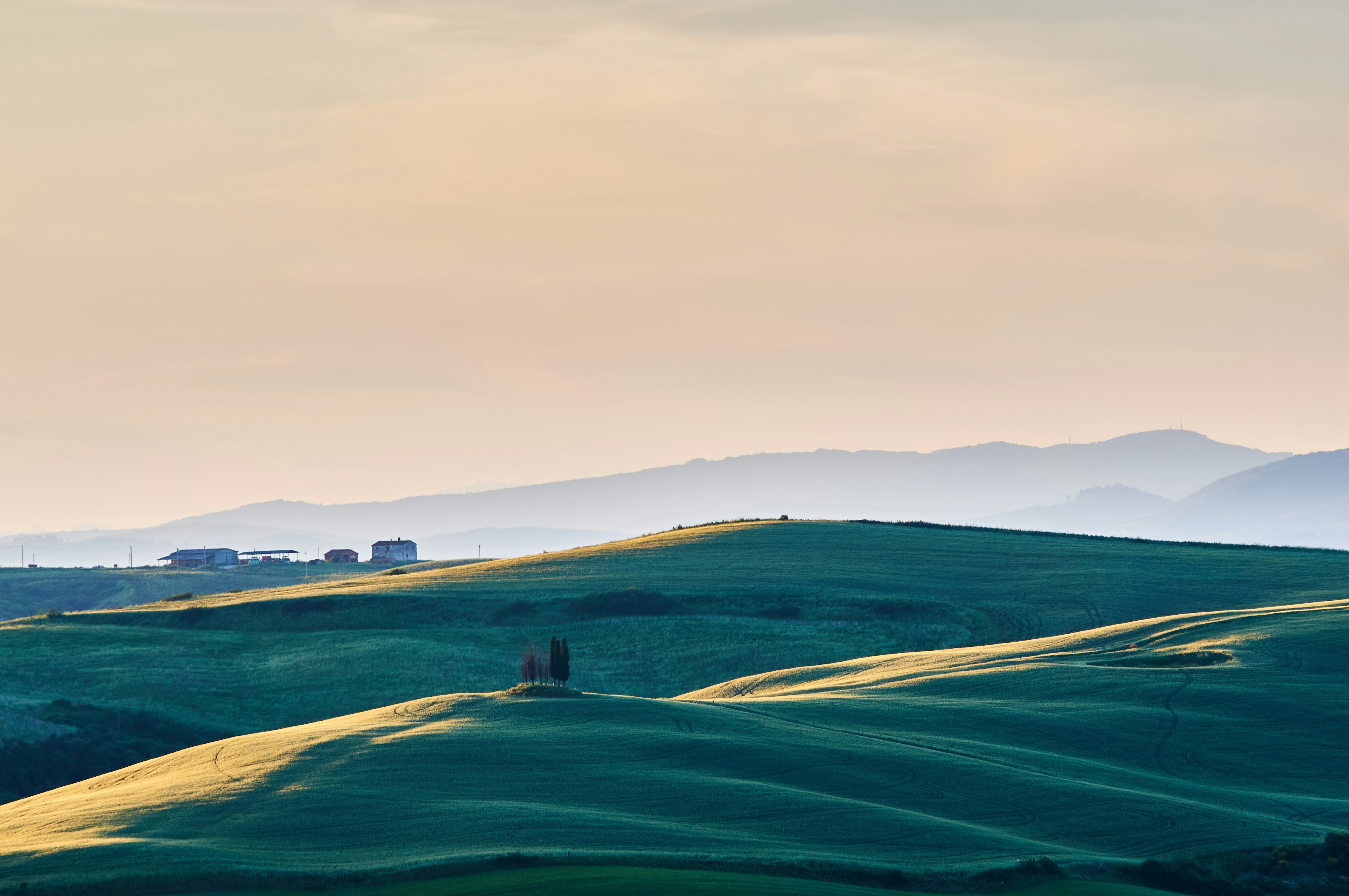 Photo by wolfgang_hasselmann