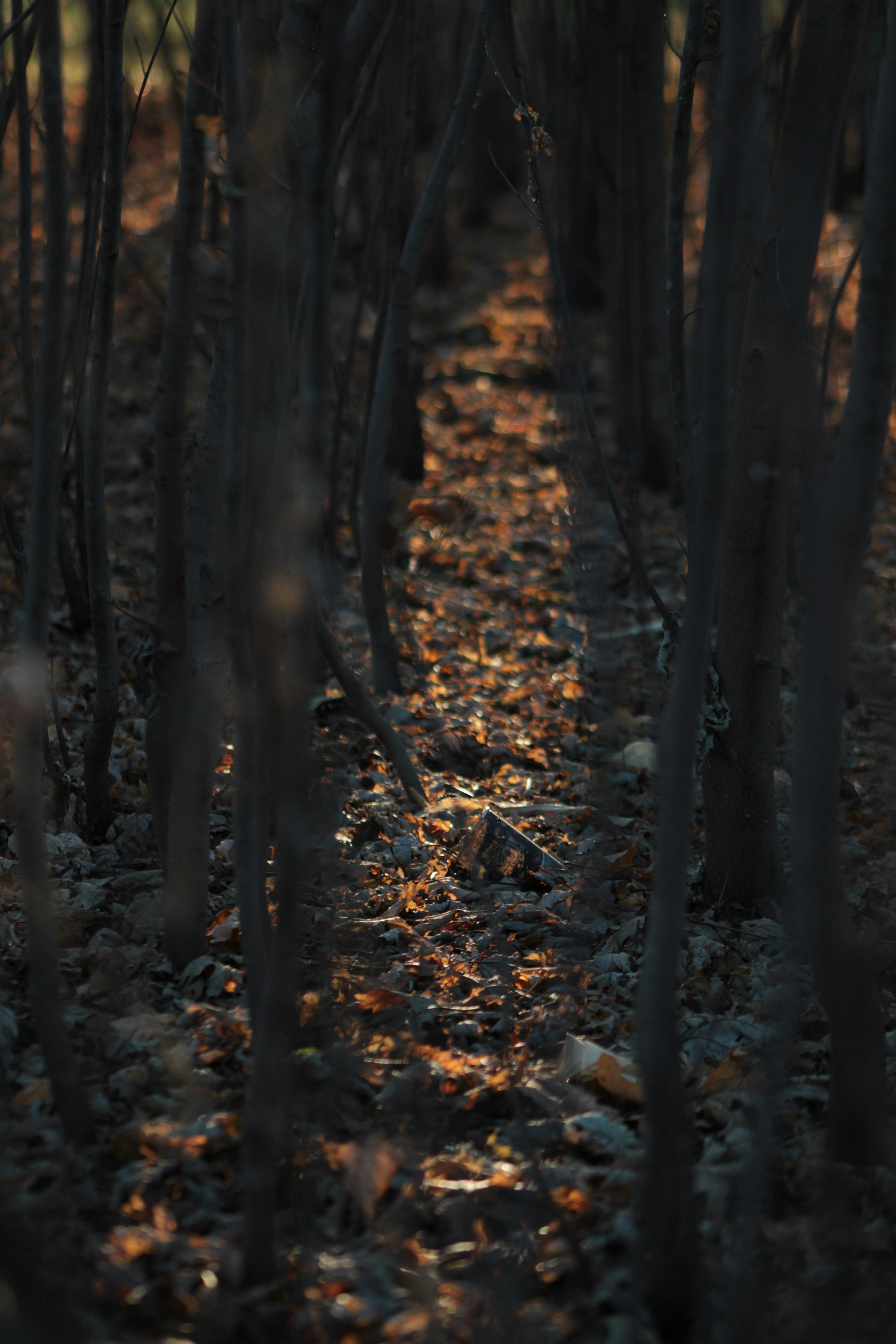 Photo by erro_images