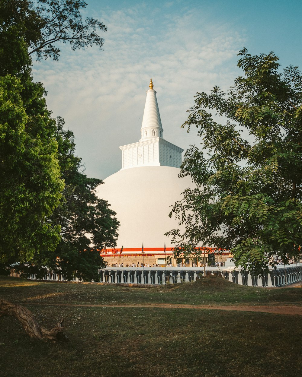 white concrete building near green trees during daytime