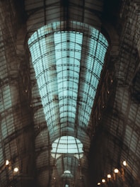 black metal framed glass ceiling