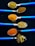 Five blue-handled spoons arranged horizontally on a dark background. Each spoon contains different spices and ingredients: ground coriander, ground cumin, turmeric, fennel seeds, red chili powder, and whole spices like cinnamon and cardamom. The vibrant colors of the spices contrast against the sleek blue of the spoons.