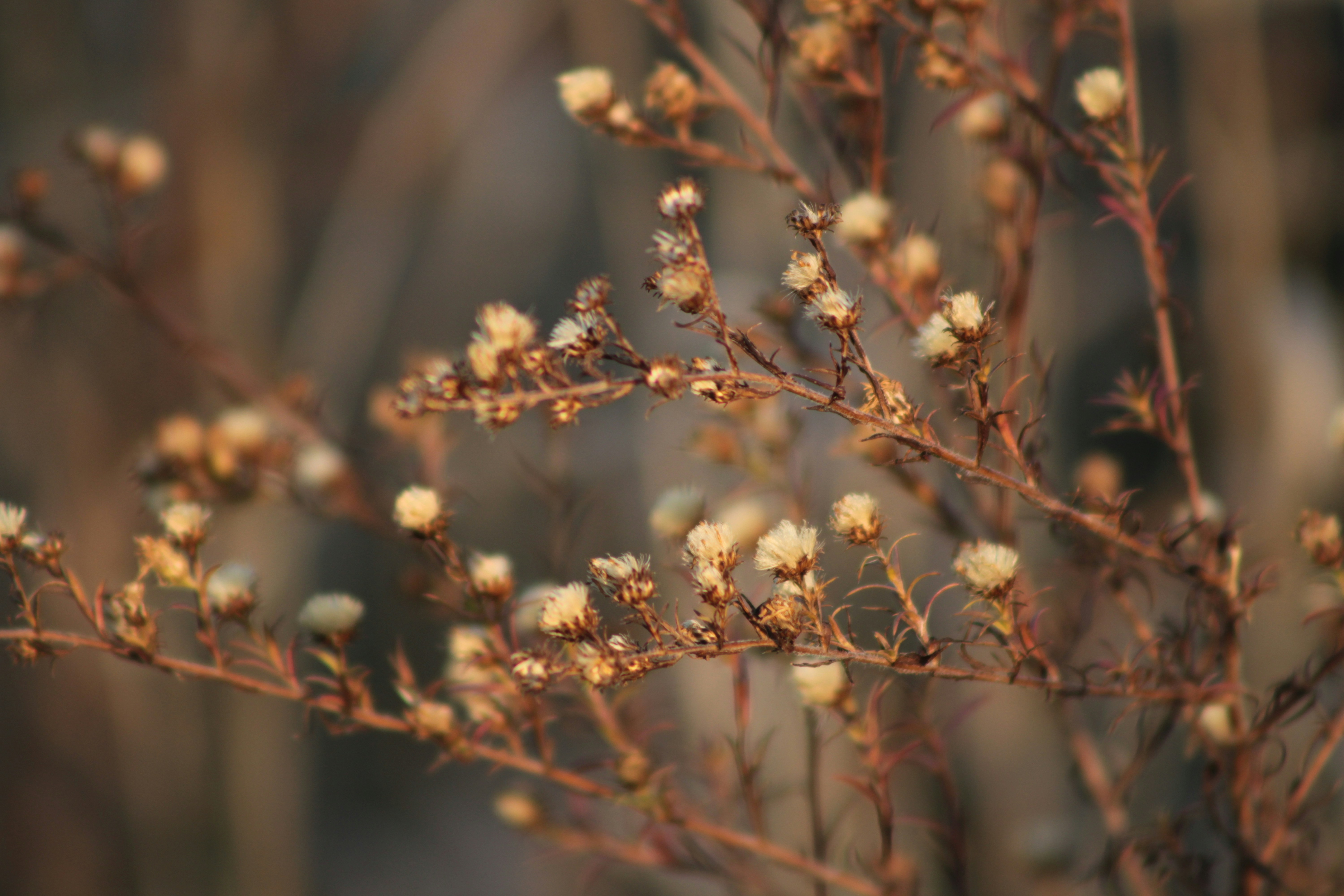 Photo by erro_images