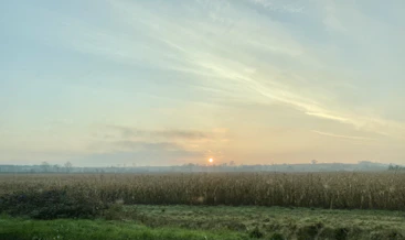 A serene sunrise over a vast landscape symbolizing the beginning of creation.