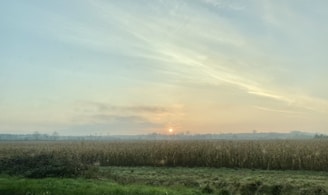 A serene landscape with a sunrise symbolizing new beginnings.