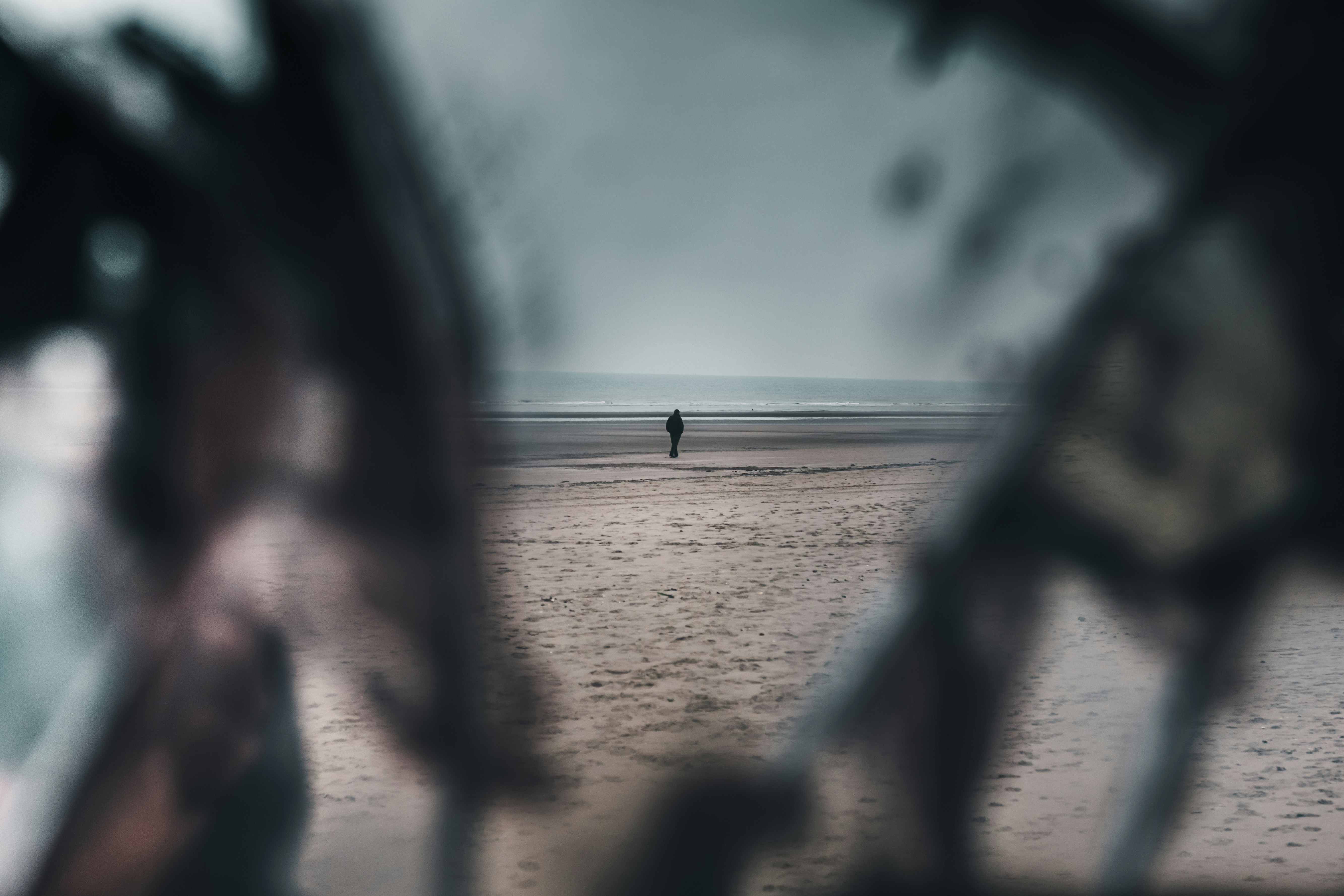 Photo by alexdinaut