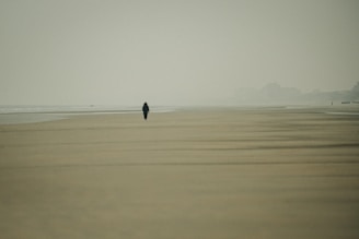 black bird flying over the sea during daytime