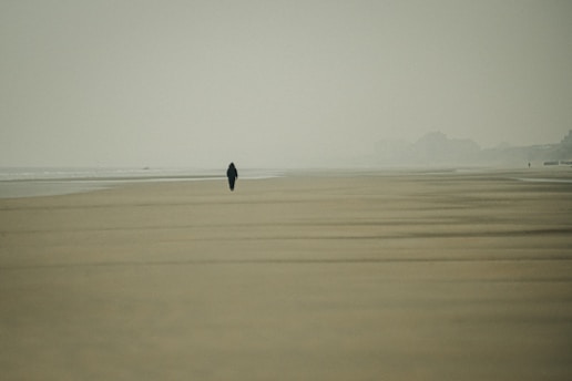 black bird flying over the sea during daytime