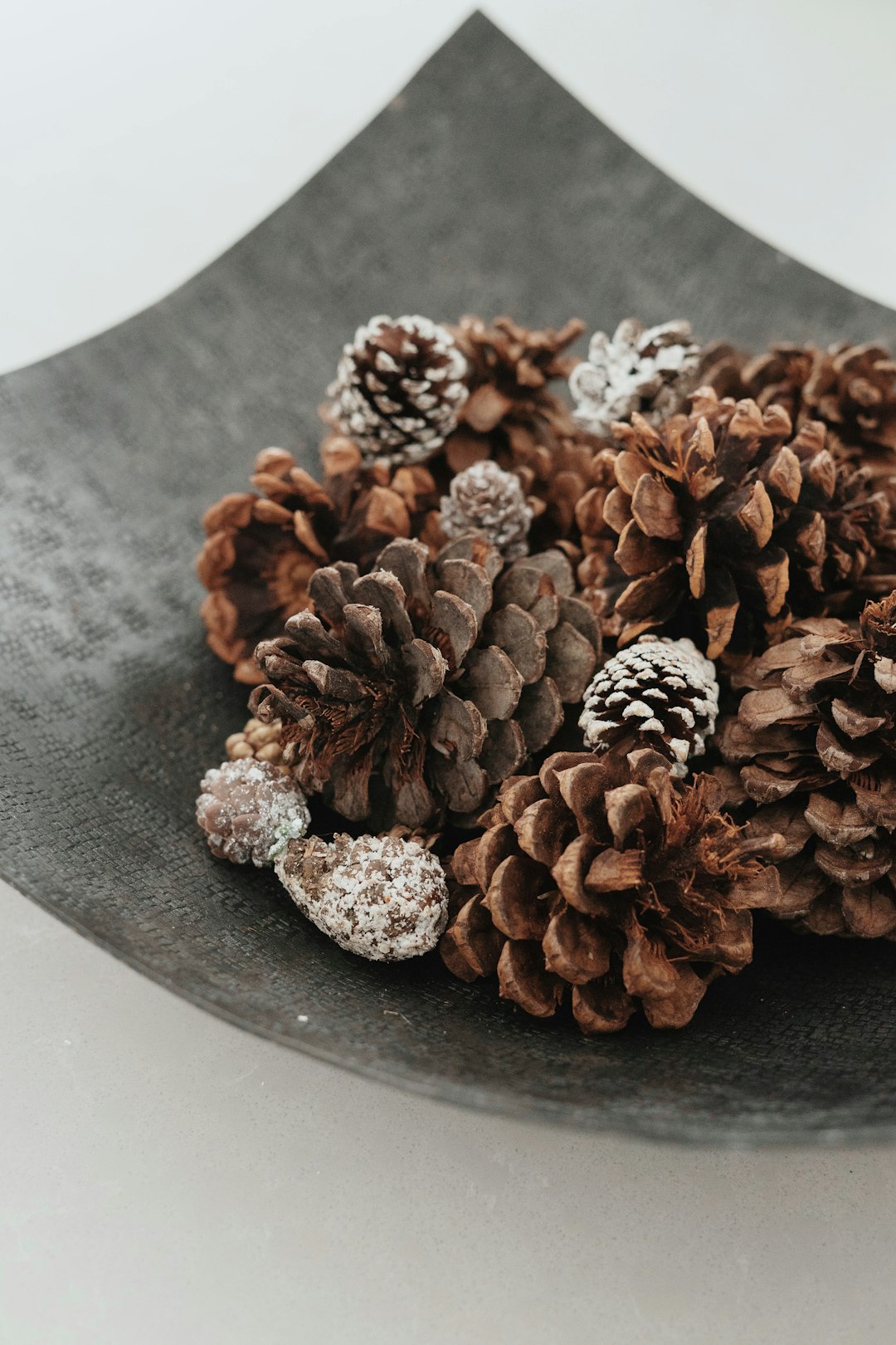 brown pine cone on black round plate