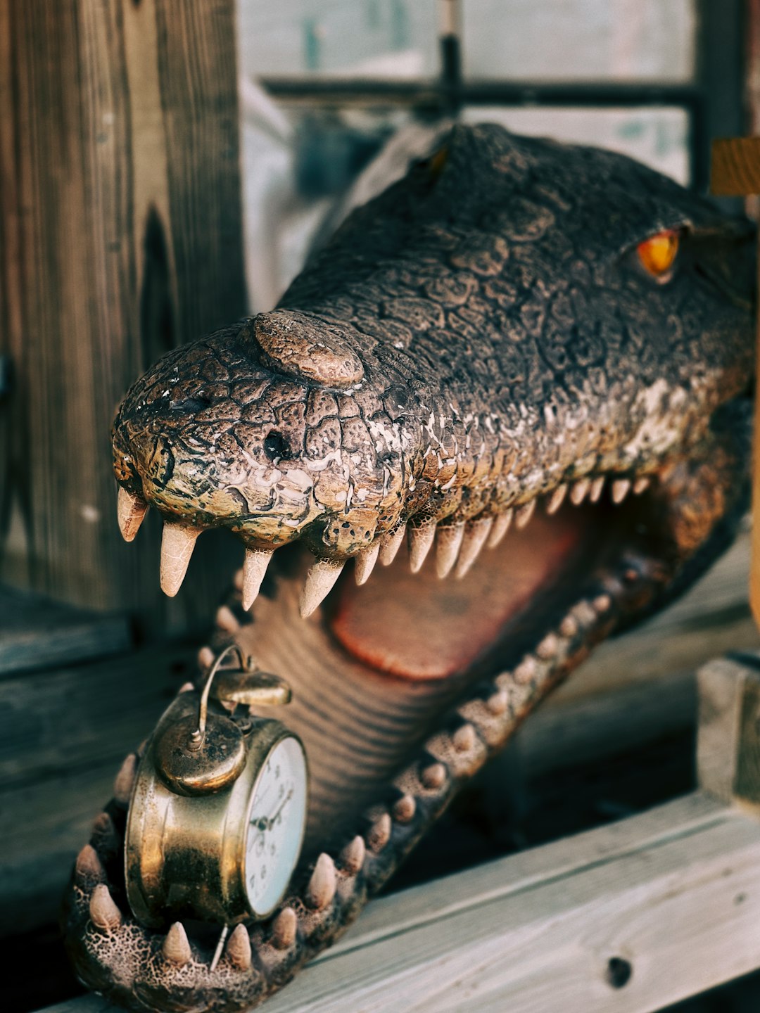 black crocodile head on wooden plank