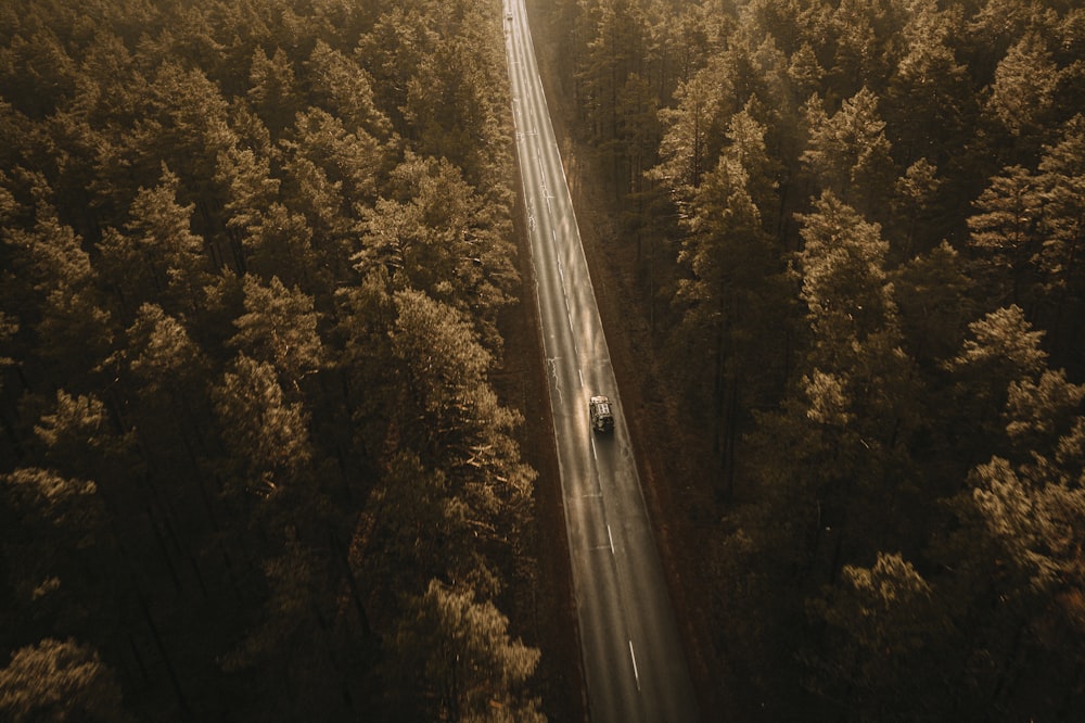 aerial view of road in the middle of green trees