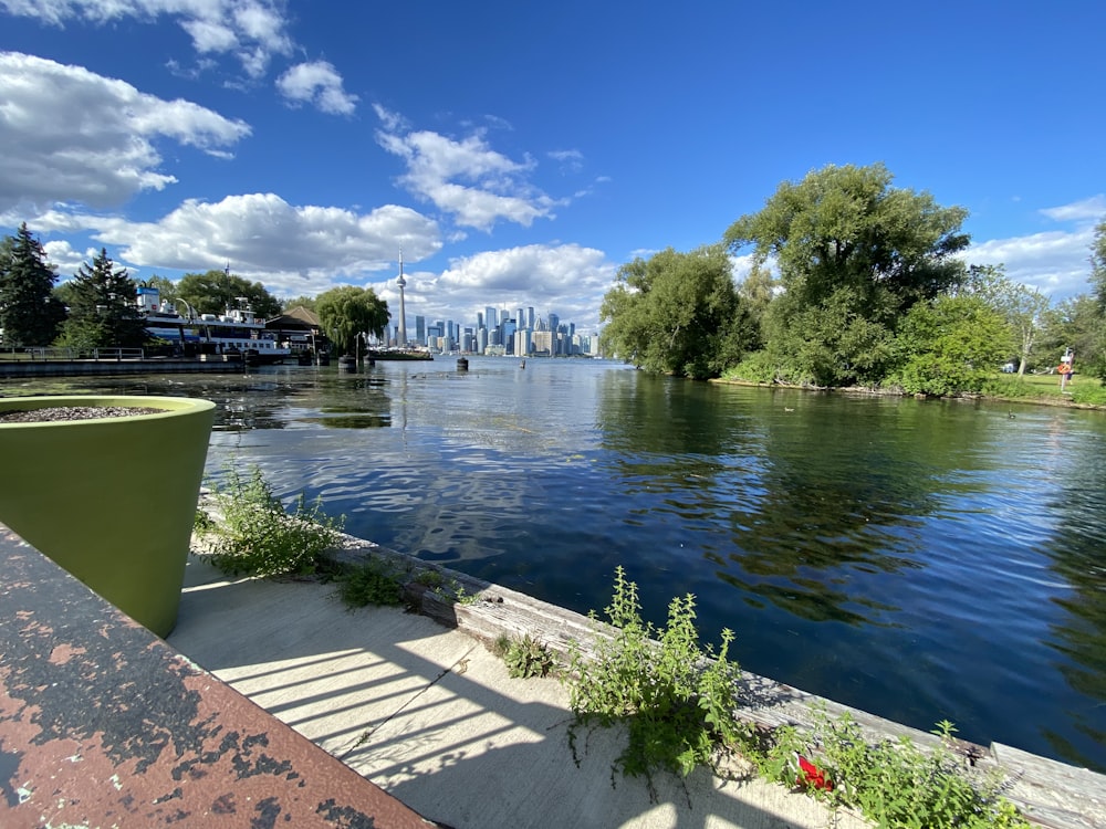 green trees beside body of water during daytime