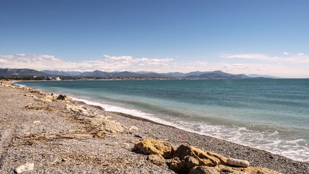 brown rocks on seashore during daytime