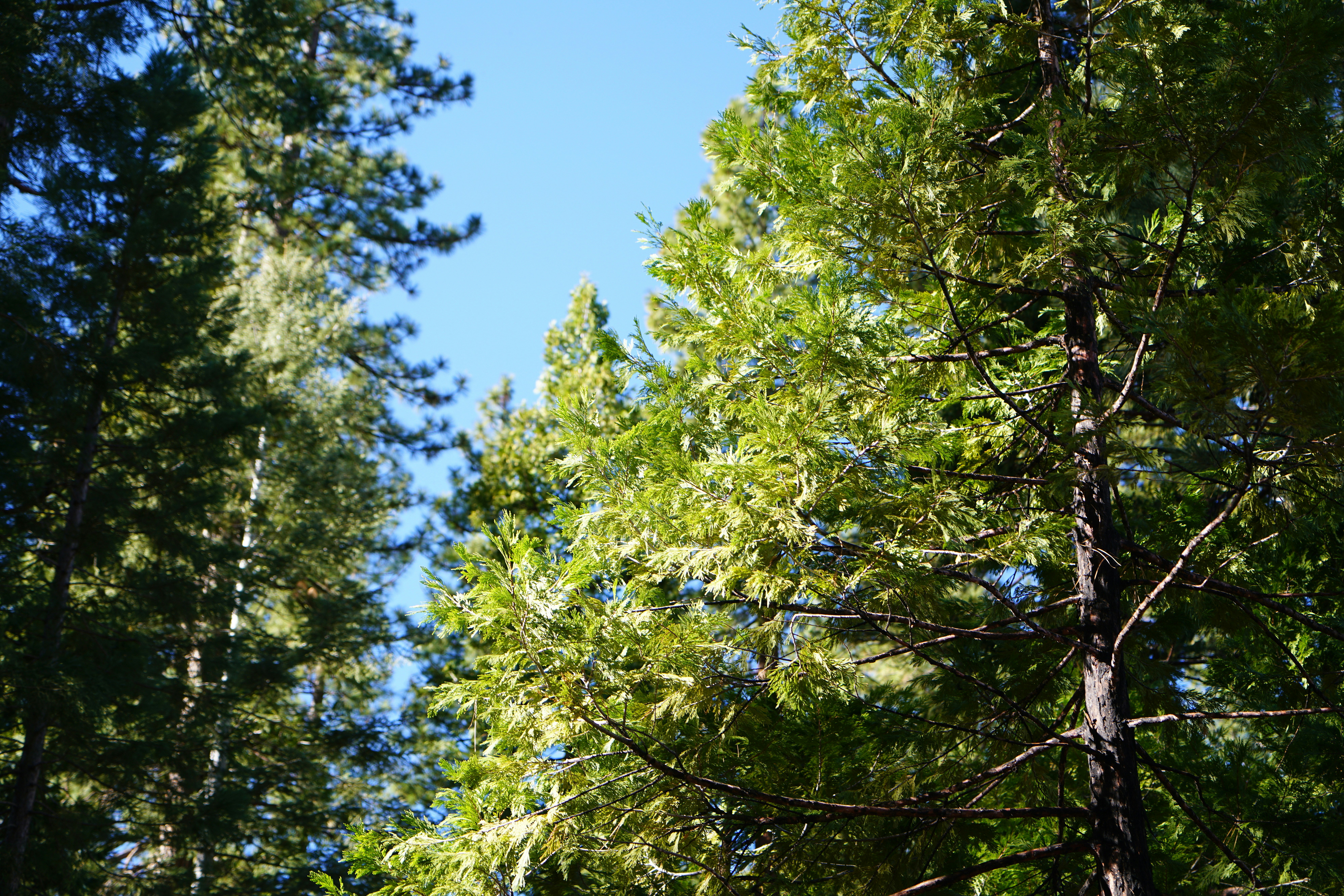 Photo by tim0at0unsplash