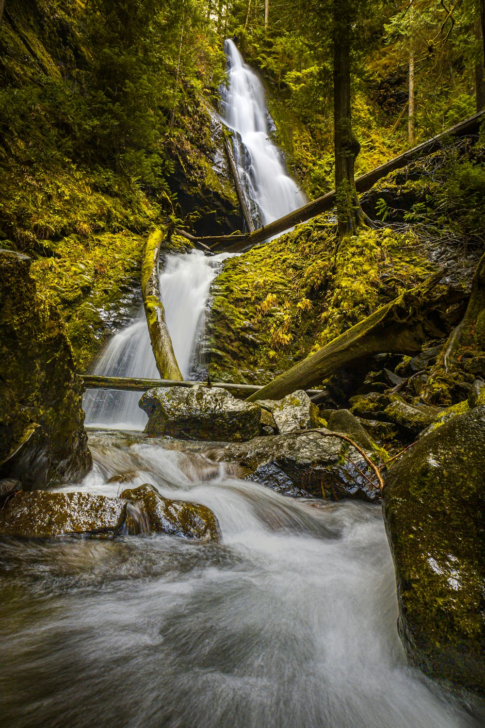 waterfalls in the middle of the forest