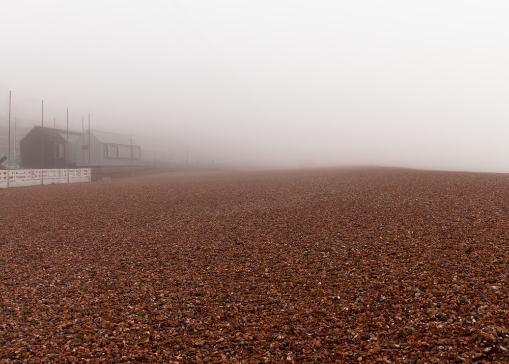 brown and black field under white sky during daytime