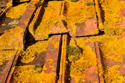 brown and black concrete brick