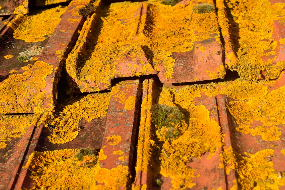 brown and black concrete brick