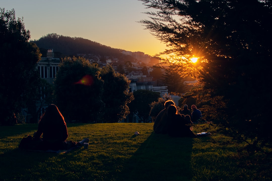 people sitting on green grass field during sunset