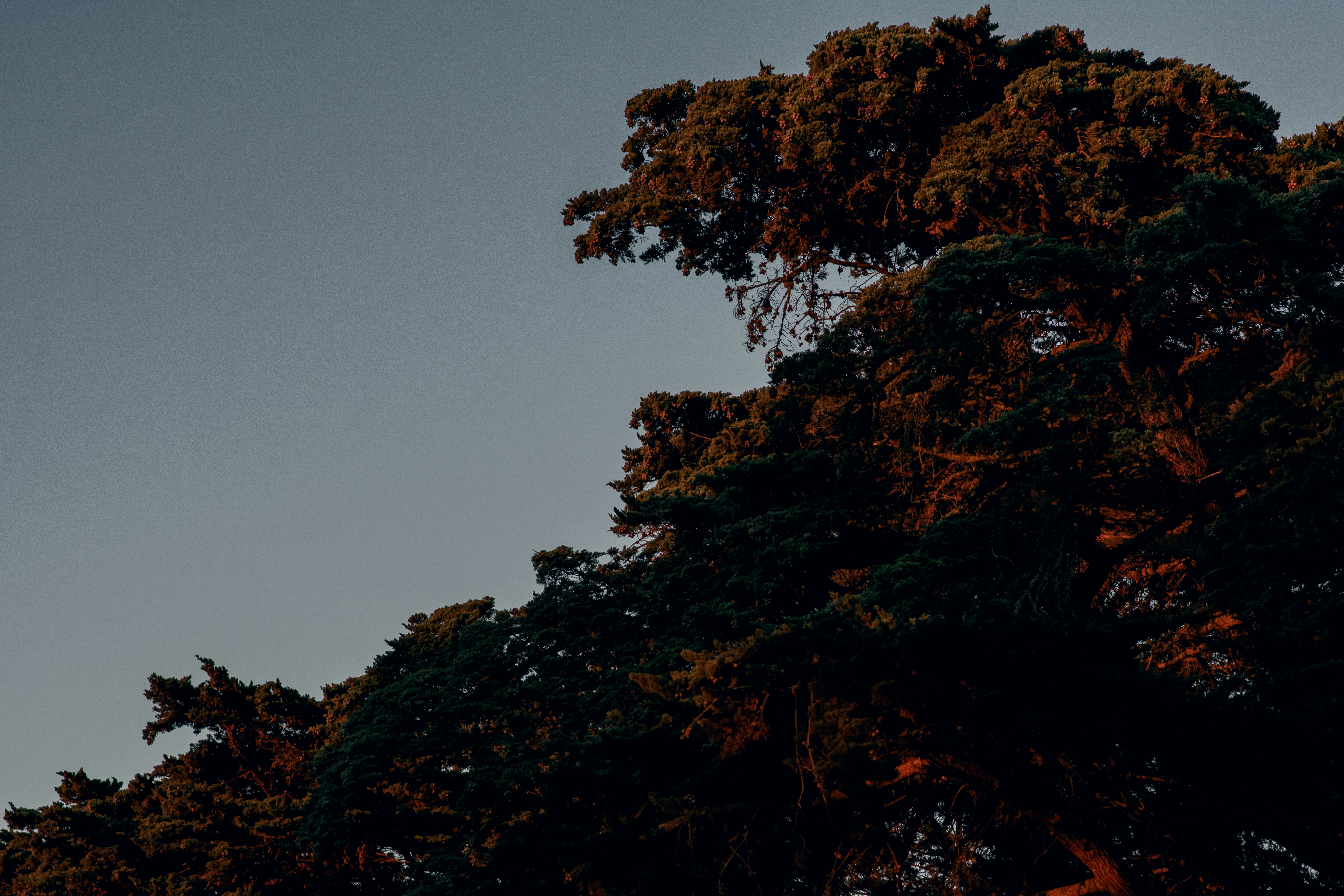 Photo by patrickperkins