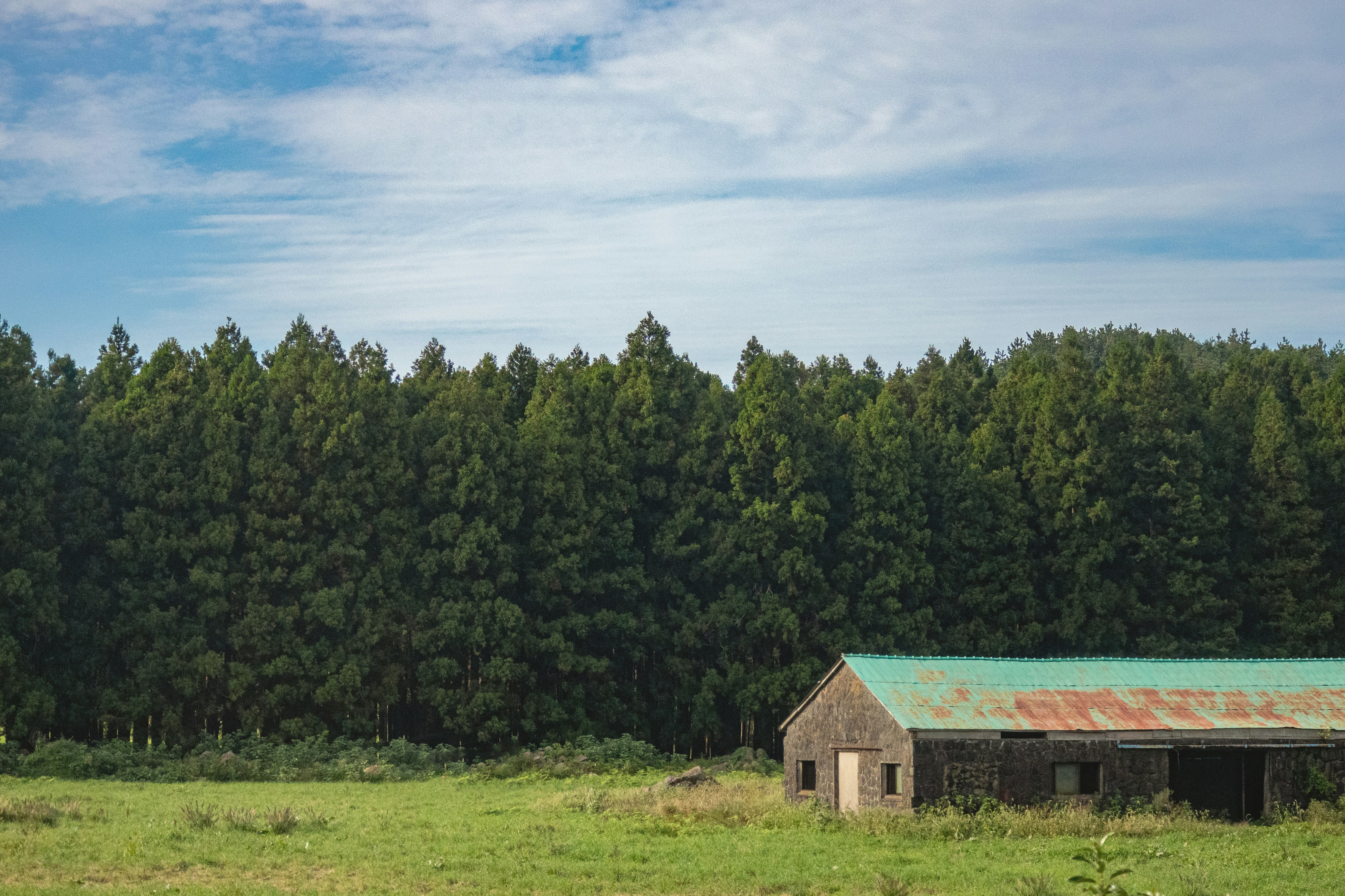 brown and white house surrounded by green trees under blue sky during daytime, 