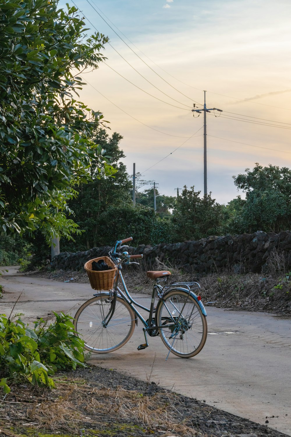 Bici da città marrone parcheggiata accanto a piante verdi durante il giorno