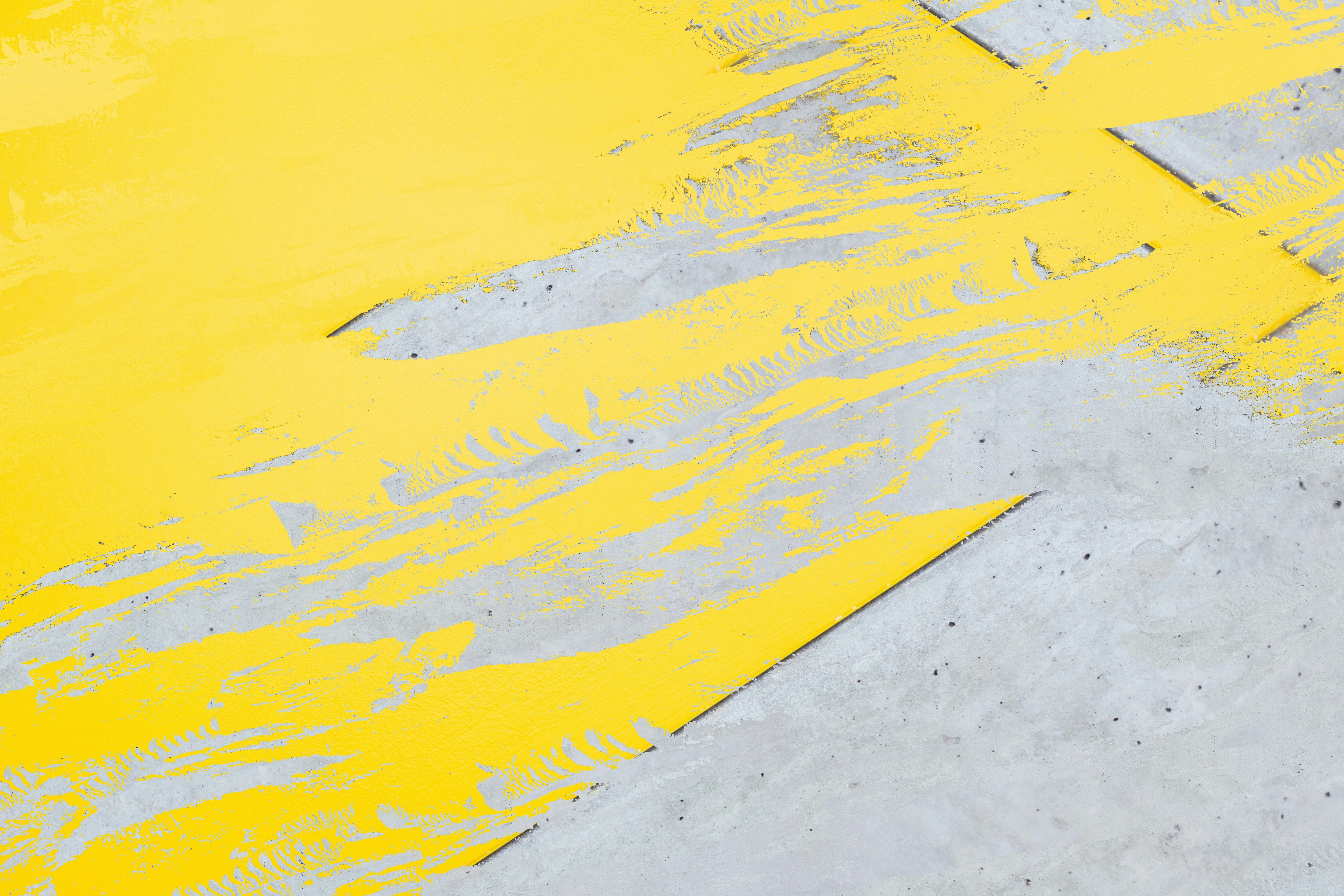 Photo by caroreg4pics