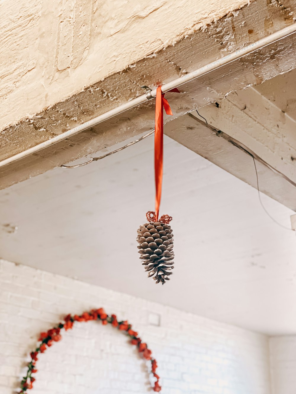 black and brown pine cone