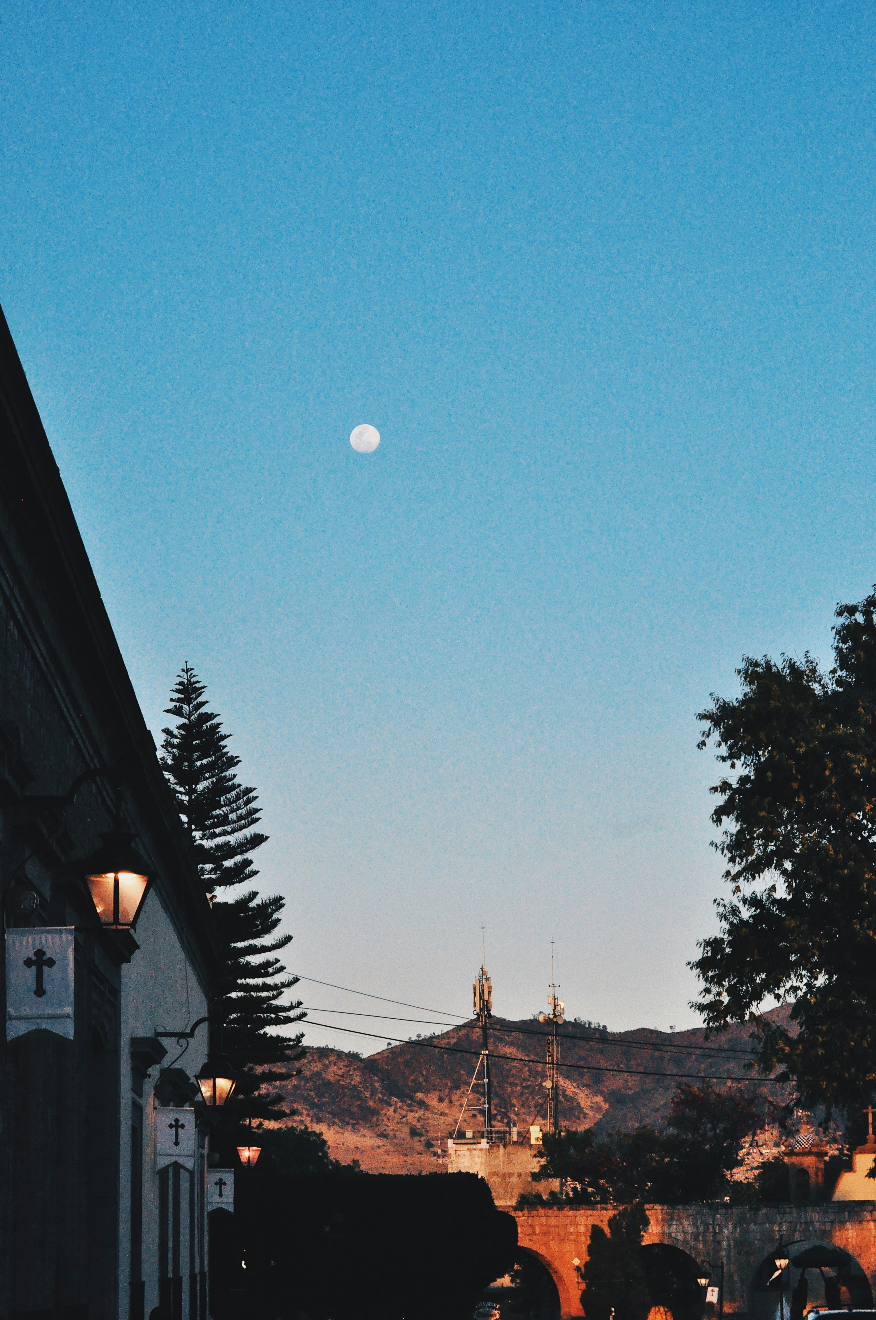 green pine tree near white house during daytime