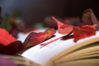 Close-up of a book cover featuring autumn leaves and warm tones.