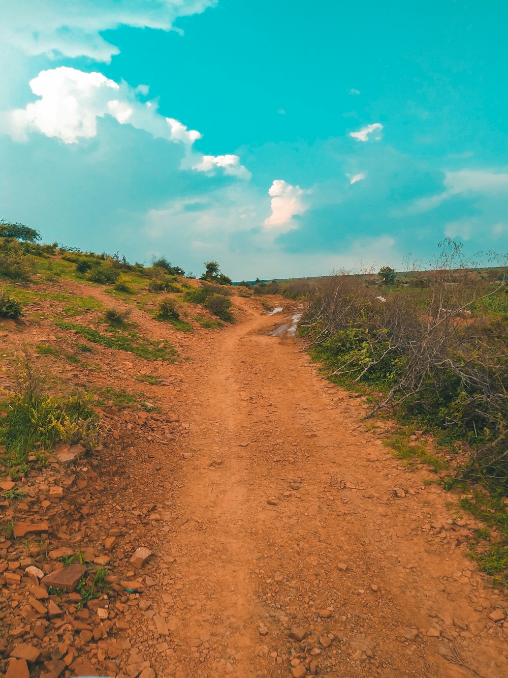 brown dirt road between green grass under blue sky during daytime