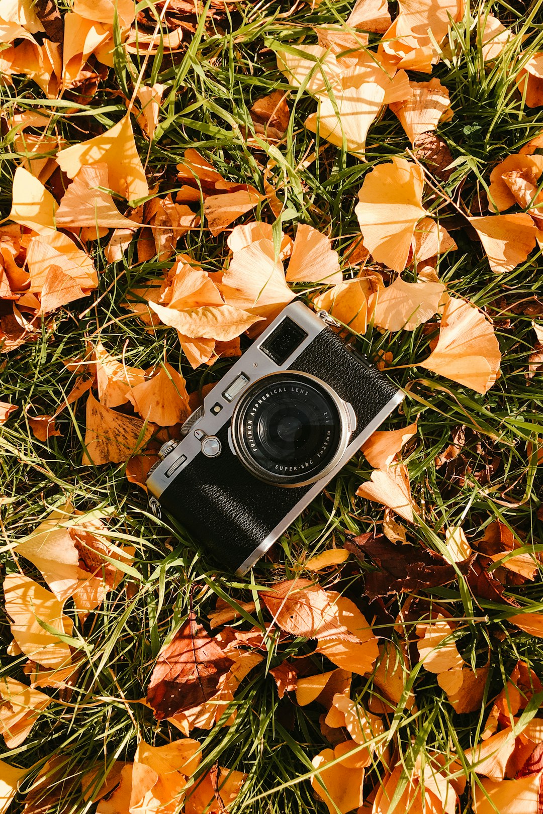 black and silver camera on dried leaves