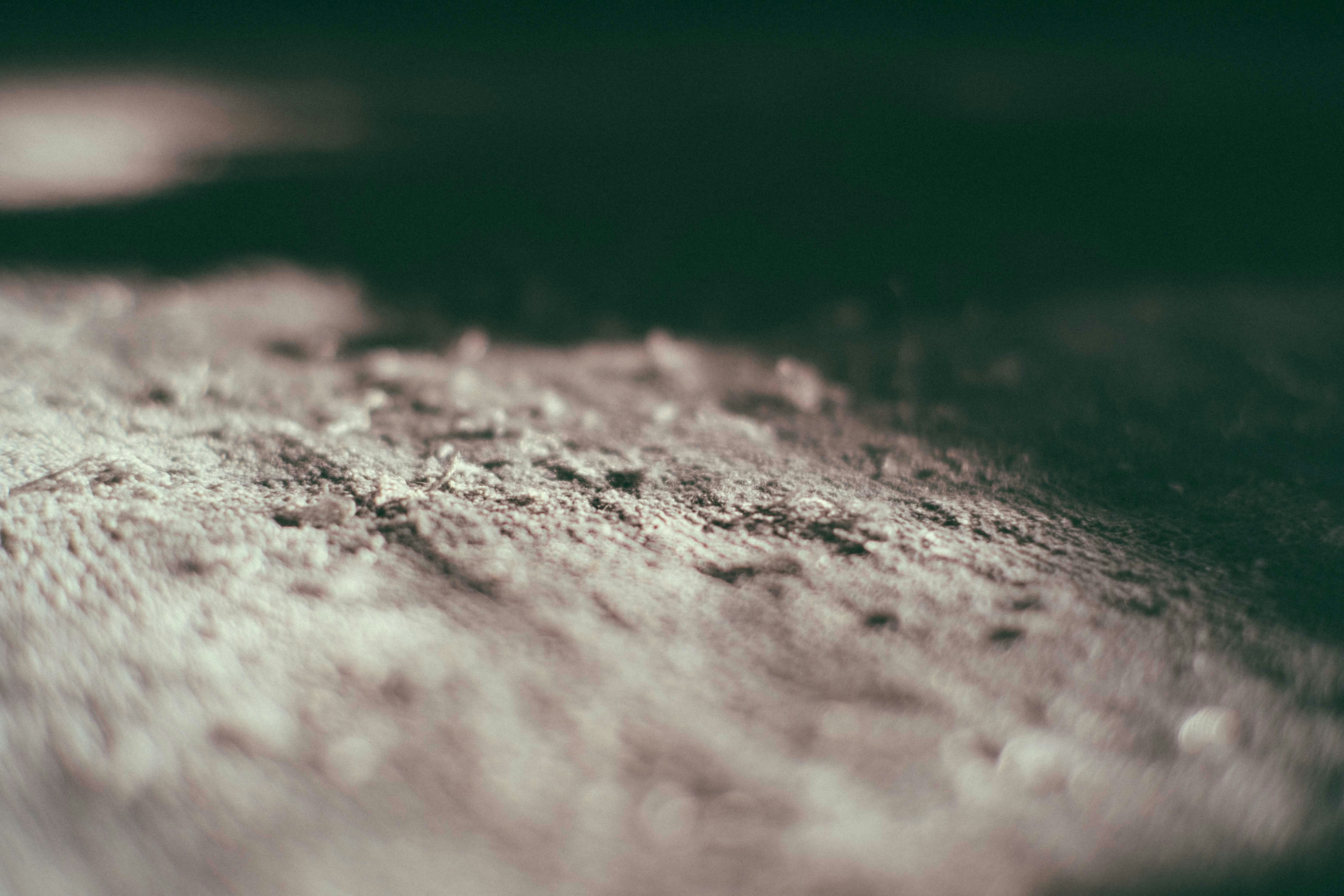 Photo by francesco_ungaro